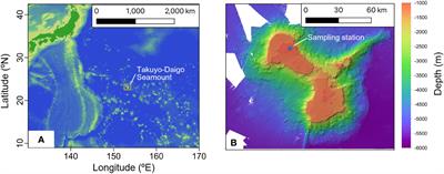 Environmental DNA metabarcoding of foraminifera for biological monitoring of bottom water and sediments on the Takuyo-Daigo Seamount in the northwestern Pacific